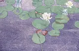 Walter J. Phillips, Water Lilies, 1927, colour wood block on paper