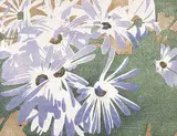 Walter J. Phillips, Cineraria #12, 1928, colour wood block on paper