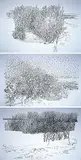 Velma Alvada Foster, December Frosty Morning / Winter's First Snow / Caraganas in the Snow #15/25, etching on paper