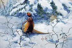 Tristan Walcot, Pheasants in Snow, 1967, watercolour and gouache on illustration