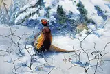 Tristan Walcot, Pheasants in Snow, 1967, watercolour and gouache on illustration
