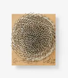 Günther Uecker, Spirale, 2009, Eingeschlagene Nägel, Bleistift und weiße Farbe auf Holz