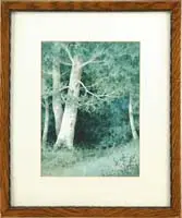 Percy A. Sanborn, Spring Birches, Watercolor scene shows several white birches in springtime foliage with grass and flower covered ground