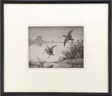 Aiden Lassell Ripley, Snipe at Dawn