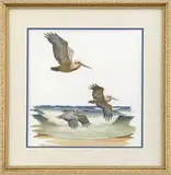 Jerome Patrick Connolly, Brown Pelicans, Fine watercolor wildlife scene shows three brown pelicans flying over beach with waves