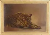 Alexander Pope, The Sleeping Tiger, Oil on canvas scene shows a three-quarter view of a tiger with head facing forward against a gold and brown background