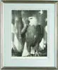 Stow Wengenroth, American Bald Eagle, Pencil signed print shows a perched bald eagle looking left with American flag behind