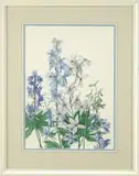 Ethlynde Smith, Delphiniums, Watercolor flower scene shows dark, light blue, and white flowers with green stems against a white background