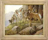 Grant Hacking, Cliff Dwellers, Oil on canvas wildlife scene shows six mountain goats grazing on high grass near cliffs
