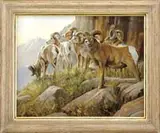Grant Hacking, Cliff Dwellers, Oil on canvas wildlife scene shows six mountain goats grazing on high grass near cliffs