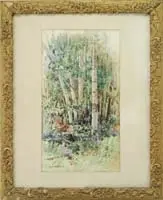Mary Mason Brooks, The Birch Trees, Spring watercolor landscape scene shows tall birches amongst low grasses, ferns and brush