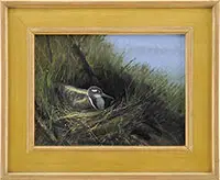 Hidden in the Brush – Painted Snipe by Nicholas Coleman, Oil on board wildlife scene shows a bird in a nest amongst tall grass with blue sky/water, offered Aug 2012