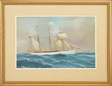 Antonio de Simone the Elder, Portrait of the Steam Yacht “Lady Torfrida, Gouache