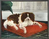 Unsigned, Portrait of a King Charles Spaniel on a Red Pillow, Oil on canvas