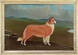 F H Shaw, Portrait of the Collie “Newington Floss, Oil on canvas