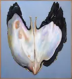 Schwarz, Oyster, Oil on canvas
