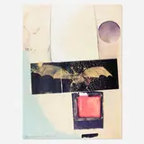 Robert Rauschenberg, Rays, 1973, offset lithograph and screenprint in colors