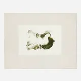 Untitled (Dove) by Louis le Brocquy, 1985, lithograph in colors on BFK Rives, sold Oct 2024