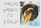 Tracey Emin, Untitled, Tracey Emin RA (b.1963) 'From Green to Gold' offset lithograph in colours