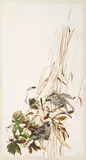 Viola Frey, A Pair of Birds