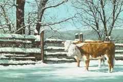Richard Gardner, Two Cows by a Fence in the Snow, 1985, oil on canvas