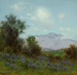 Charles Dorman Robinson, Mt. Tamalpais