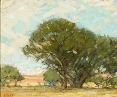 The Grounds at Stanford, Palo Alto by Bruce Nelson, oil on canvas on board, offered May 2007