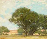 Bruce Nelson, The Grounds at Stanford, Palo Alto, oil on canvas on board