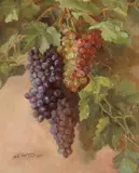 Henrietta S. Quincy, Grapevine, 1882, oil on canvas