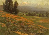 Benjamin Brown, Pasadena Poppies with Mount Baldy in the Distance, oil on canvas