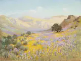 Frank Montague Moore, Pasadena Wildflowers