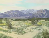 Carl Sammons, Desert Wild Flowers, Palm Springs, oil on canvas