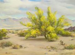 Agnes Lawrence Pelton, Young Palo Verde Tree, Cloudy Morning, oil on canvas