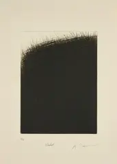 Wald by Arnulf Rainer, Radierung auf Bütten, sold May 2025