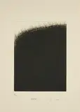 Arnulf Rainer, Wald, Radierung auf Bütten