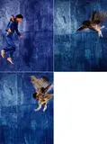 Jan Fabre, Konvolut von 3 Fotografien, a) Ohne Titel (II)