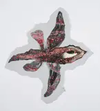 Annette Messager, Papillon (Aus: Chimères), 1983-84, Mischtechnik über Fotografie auf Velin. Auf Netzstoff montiert