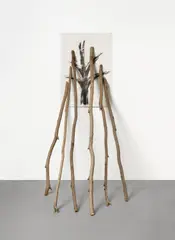 Giuseppe Penone, "La velocitá del vegetale Il lento ripetersi della scultura 6 Biforcazioni", 1985, Kohle und Kohlestück auf Papier, 6 Äste