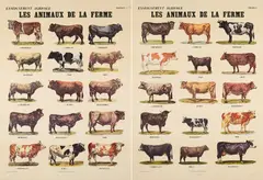 Marcel Broodthaers, Les Animaux de la Ferme, 1974, Jeweils: Farboffset auf beschichtetem Halbkarton