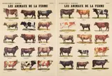 Marcel Broodthaers, Les Animaux de la Ferme, 1974, Jeweils: Farboffset auf beschichtetem Halbkarton