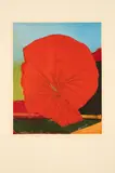 Max Ernst, Rote Blume I, 1960, Fotolithografie auf chamoisfarbenem Velin
