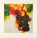 Karin Kneffel, Ohne Titel (Trauben), 2005, Farbaqua auf Bütten