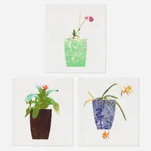 Jonas Wood, Three Landscape Pots: Night Bloom, Orchid and Bromeliad, 2019, etching, collage and photolithography on handmade paper