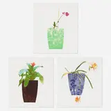 Jonas Wood, Three Landscape Pots: Night Bloom, Orchid and Bromeliad, 2019, etching, collage and photolithography on handmade paper