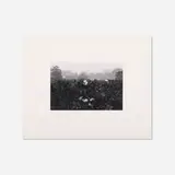 Kyoto, Japan by Lee Friedlander, 1977, gelatin silver print, sold Dec 2021