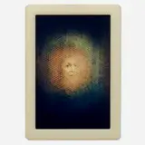 Matthew Barney, Cremaster 2: The Royal Cell of Baby Fay, 1998, laminated chromogenic print in acrylic artist's frame