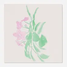 Corita Kent, Untitled (Flowers) (W269), watercolor and graphite on paper