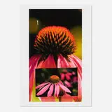 Ross Bleckner, Untitled (Flower Collage), 2011, archival pigment print on rag paper