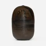 Toshiko Takaezu, Closed Form