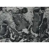 Aaron Siskind, Volcano Series, 1980